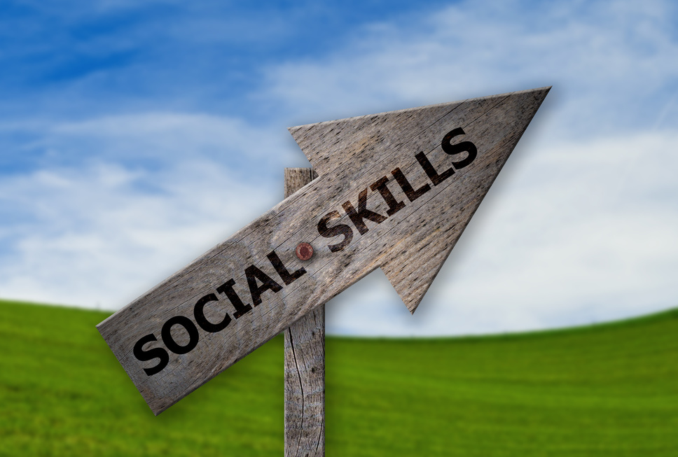 Branded Text Social Skills on an rustic arrow sign